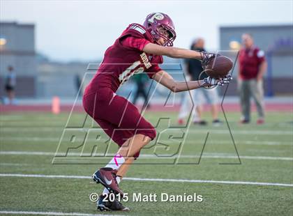 Thumbnail 3 in Falcon @ Ponderosa photogallery.