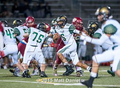 Thumbnail 3 in Falcon @ Ponderosa photogallery.