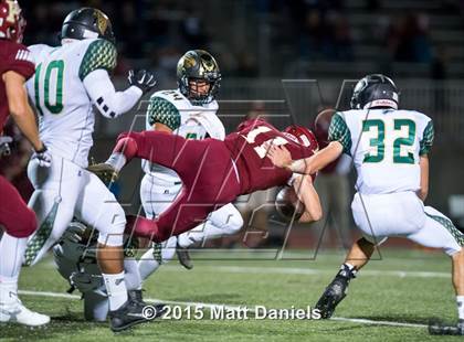 Thumbnail 3 in Falcon @ Ponderosa photogallery.