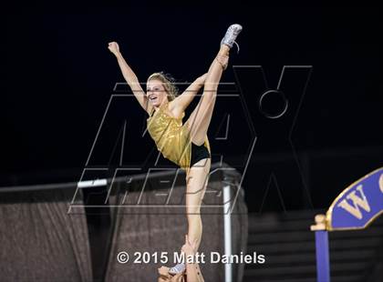 Thumbnail 2 in Falcon @ Ponderosa photogallery.