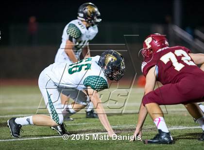 Thumbnail 3 in Falcon @ Ponderosa photogallery.