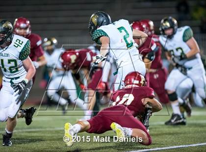 Thumbnail 1 in Falcon @ Ponderosa photogallery.