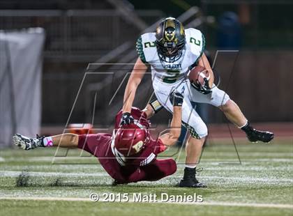 Thumbnail 1 in Falcon @ Ponderosa photogallery.