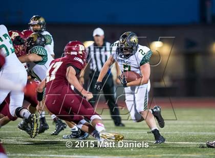 Thumbnail 1 in Falcon @ Ponderosa photogallery.