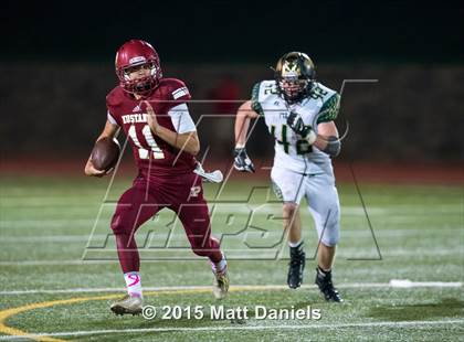 Thumbnail 1 in Falcon @ Ponderosa photogallery.