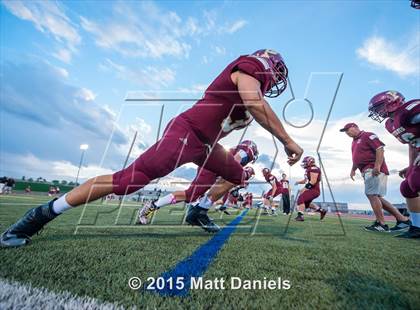 Thumbnail 2 in Falcon @ Ponderosa photogallery.