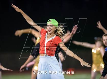 Thumbnail 1 in Falcon @ Ponderosa photogallery.