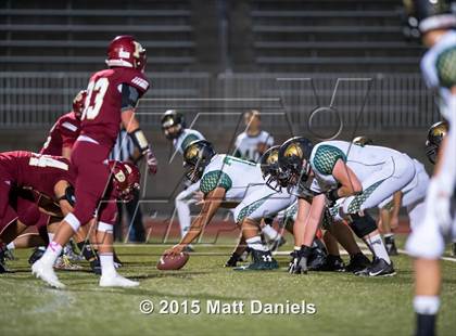Thumbnail 1 in Falcon @ Ponderosa photogallery.