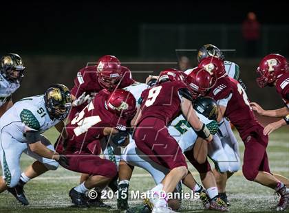 Thumbnail 2 in Falcon @ Ponderosa photogallery.