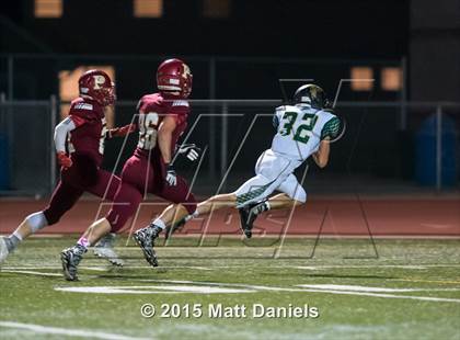 Thumbnail 1 in Falcon @ Ponderosa photogallery.