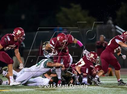 Thumbnail 1 in Falcon @ Ponderosa photogallery.
