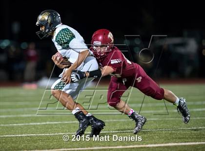 Thumbnail 2 in Falcon @ Ponderosa photogallery.