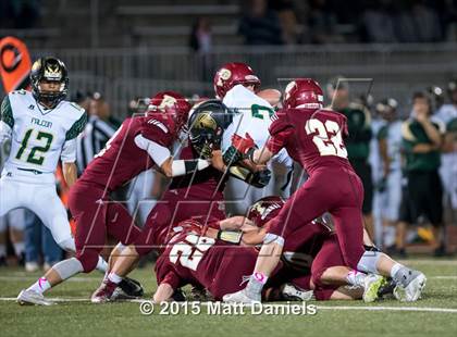 Thumbnail 1 in Falcon @ Ponderosa photogallery.