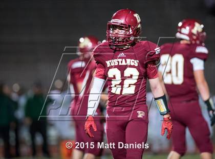 Thumbnail 2 in Falcon @ Ponderosa photogallery.