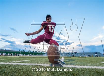Thumbnail 2 in Falcon @ Ponderosa photogallery.