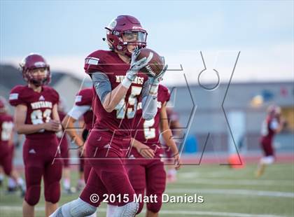 Thumbnail 2 in Falcon @ Ponderosa photogallery.