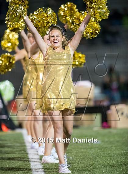 Thumbnail 1 in Falcon @ Ponderosa photogallery.