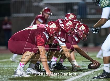 Thumbnail 3 in Falcon @ Ponderosa photogallery.