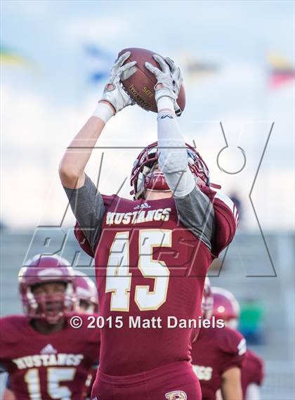 Thumbnail 2 in Falcon @ Ponderosa photogallery.