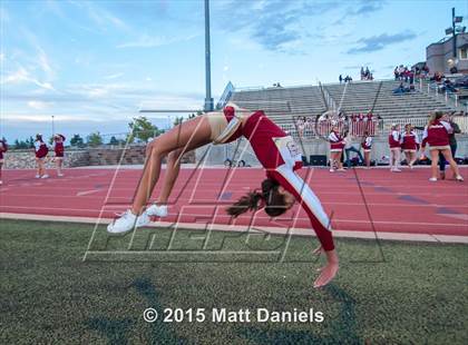 Thumbnail 3 in Falcon @ Ponderosa photogallery.