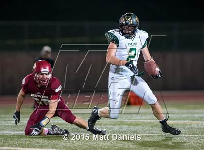 Thumbnail 2 in Falcon @ Ponderosa photogallery.