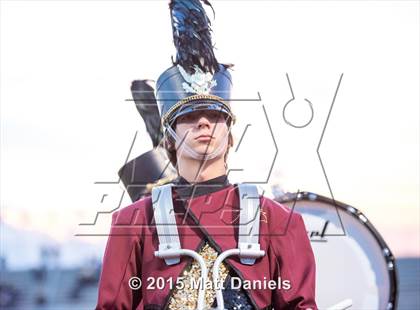 Thumbnail 2 in Falcon @ Ponderosa photogallery.