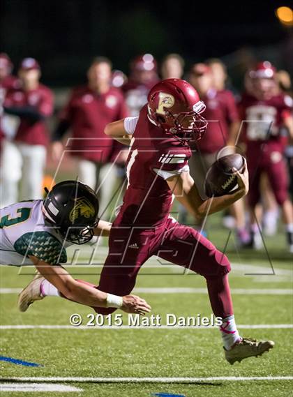 Thumbnail 3 in Falcon @ Ponderosa photogallery.