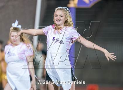 Thumbnail 1 in Falcon @ Ponderosa photogallery.