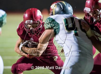 Thumbnail 1 in Falcon @ Ponderosa photogallery.