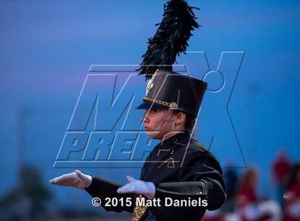 Thumbnail 1 in Falcon @ Ponderosa photogallery.