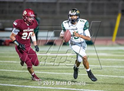 Thumbnail 2 in Falcon @ Ponderosa photogallery.