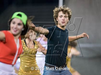 Thumbnail 2 in Falcon @ Ponderosa photogallery.