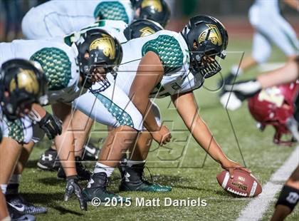Thumbnail 1 in Falcon @ Ponderosa photogallery.