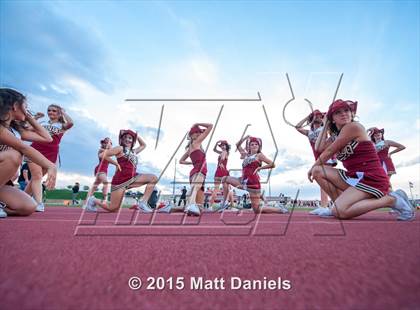 Thumbnail 2 in Falcon @ Ponderosa photogallery.