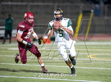 Thumbnail 3 in Falcon @ Ponderosa photogallery.