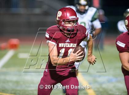 Thumbnail 1 in Falcon @ Ponderosa photogallery.
