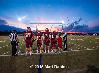 Thumbnail 3 in Falcon @ Ponderosa photogallery.