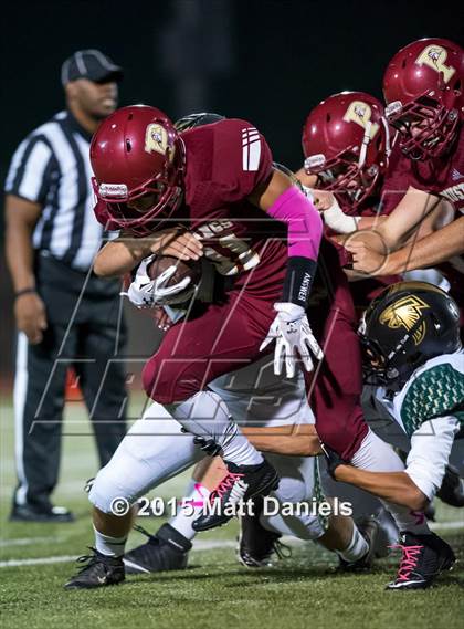Thumbnail 1 in Falcon @ Ponderosa photogallery.