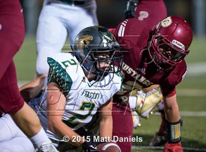 Thumbnail 2 in Falcon @ Ponderosa photogallery.