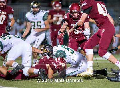 Thumbnail 1 in Falcon @ Ponderosa photogallery.