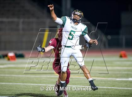 Thumbnail 1 in Falcon @ Ponderosa photogallery.