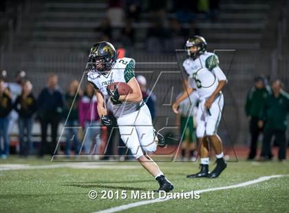 Thumbnail 2 in Falcon @ Ponderosa photogallery.
