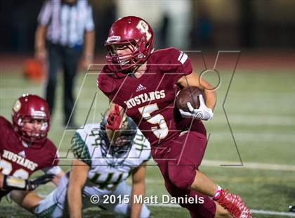 Thumbnail 2 in Falcon @ Ponderosa photogallery.