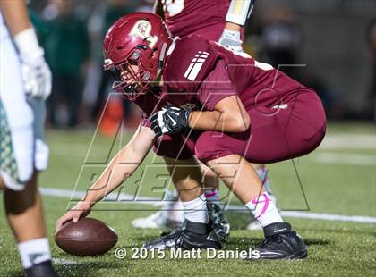 Thumbnail 1 in Falcon @ Ponderosa photogallery.