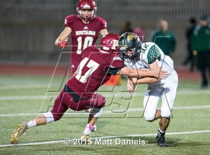 Thumbnail 1 in Falcon @ Ponderosa photogallery.