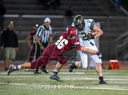 Thumbnail 2 in Falcon @ Ponderosa photogallery.