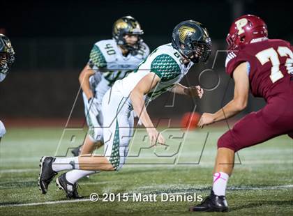 Thumbnail 1 in Falcon @ Ponderosa photogallery.