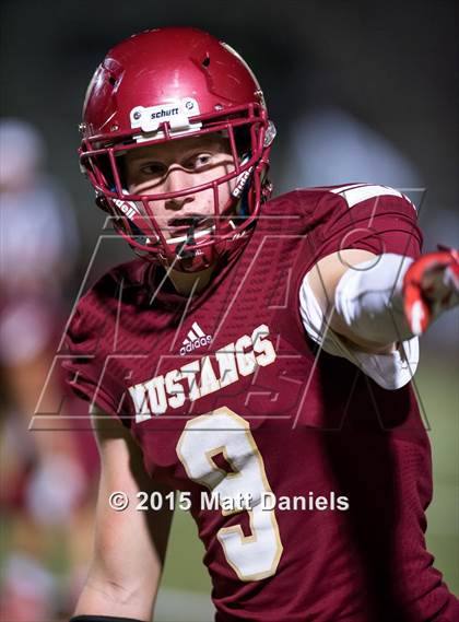 Thumbnail 3 in Falcon @ Ponderosa photogallery.