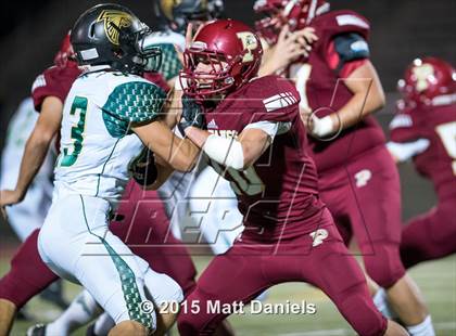 Thumbnail 3 in Falcon @ Ponderosa photogallery.