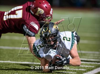 Thumbnail 1 in Falcon @ Ponderosa photogallery.